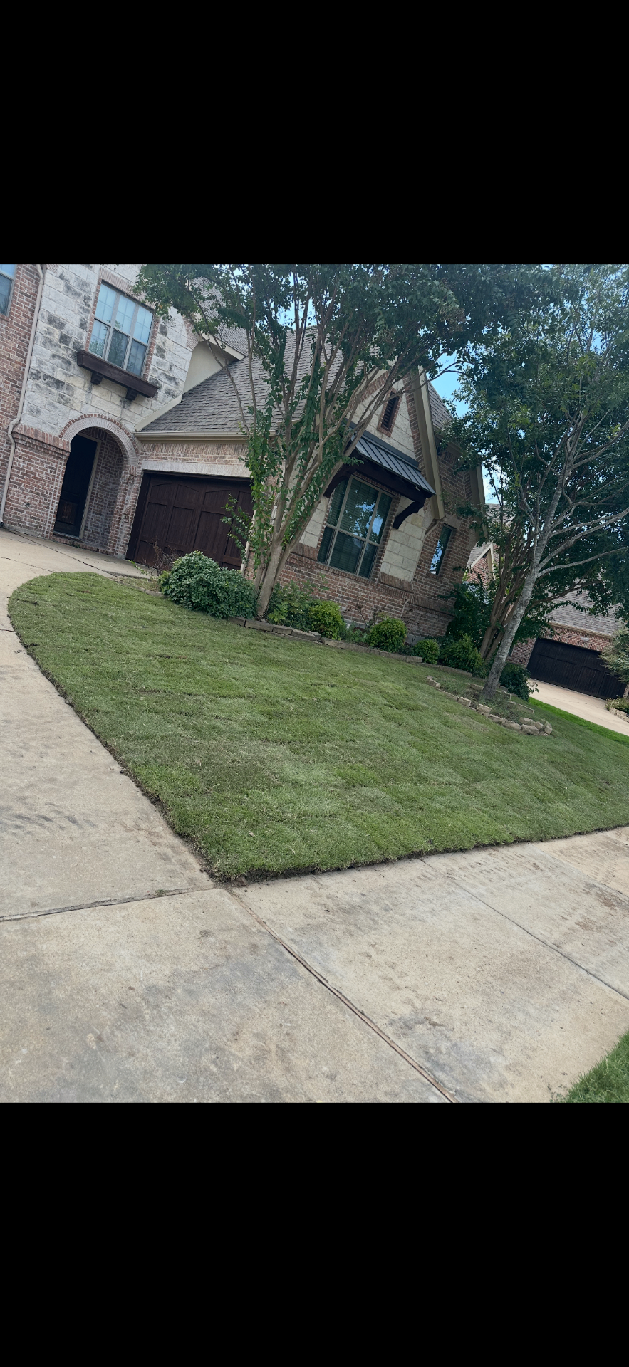New sod install along driveway